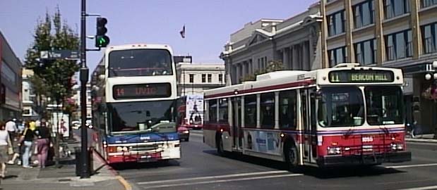 Victoria Regional Transit Dennis Trident Duple Metsec DM5000 & New Flyer D40LF